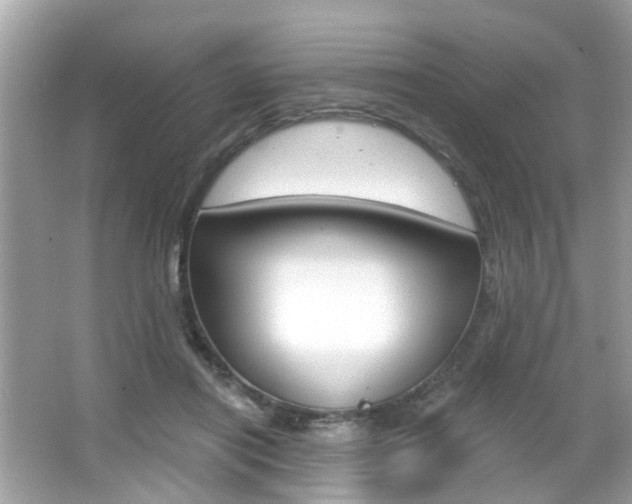 X0000066530454200603171033