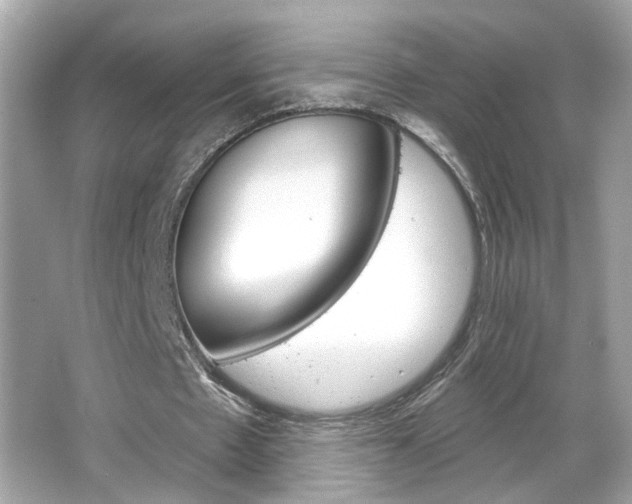 X0000066530481200603171033