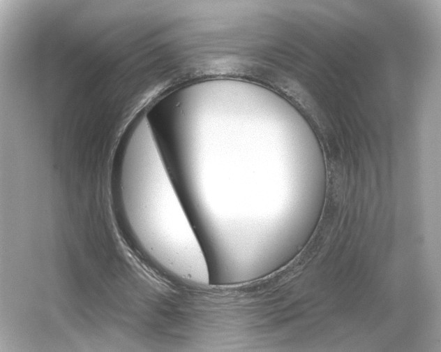 X0000066530482200603171033