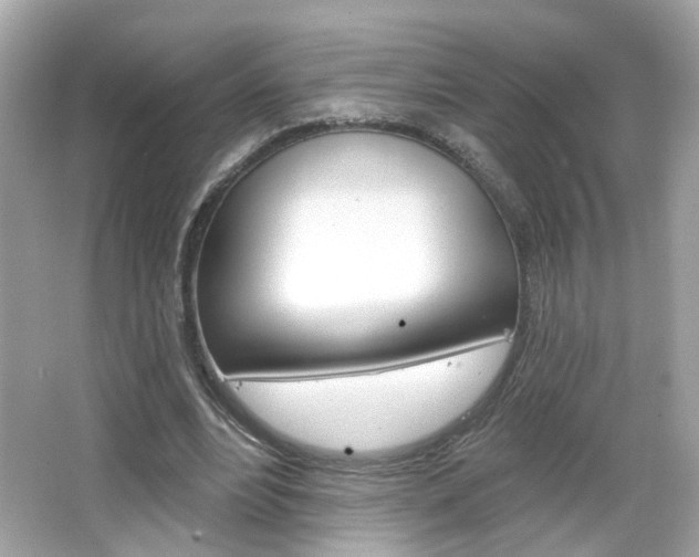 X0000066530488200603171033