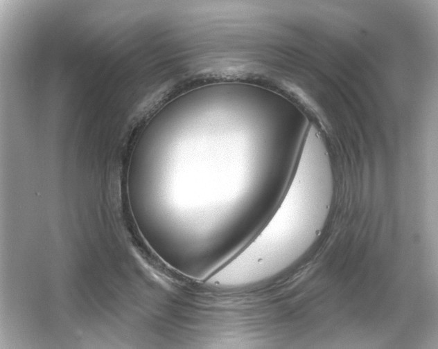X0000066530493200603171033