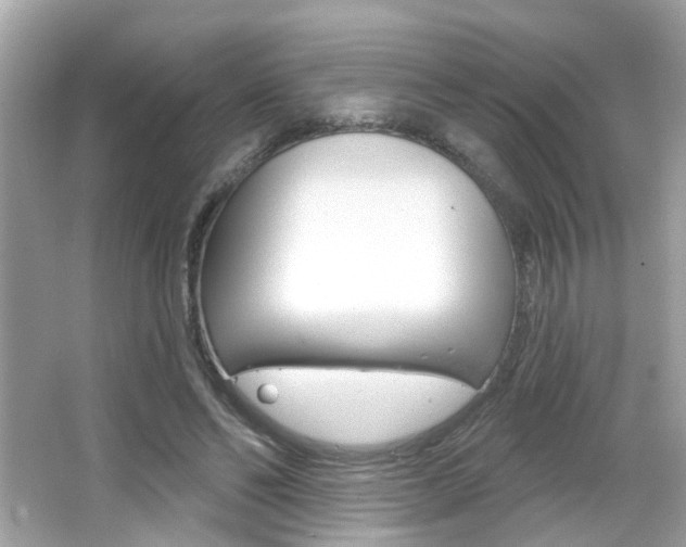 X0000066530494200603171033