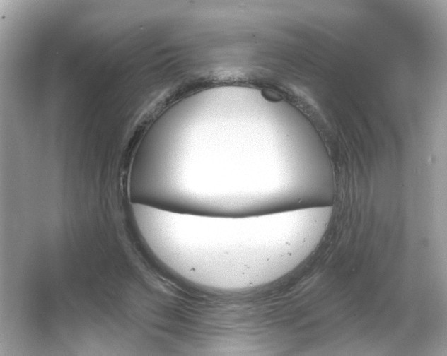 X0000066530495200603171033