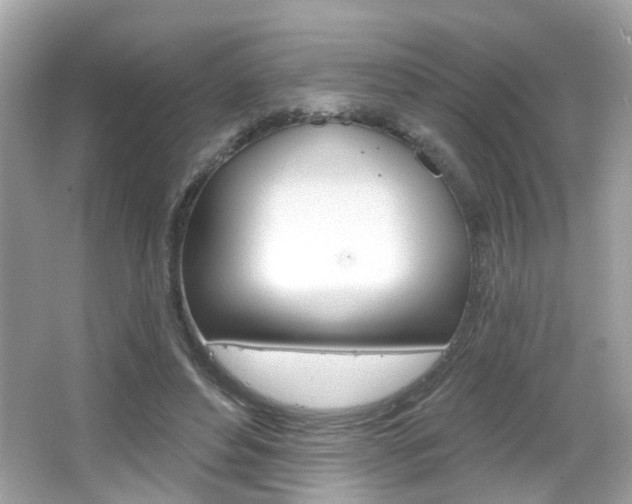 X0000066530496200603171033