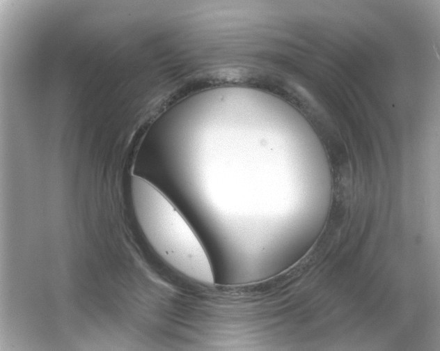 X0000066530500200603171033