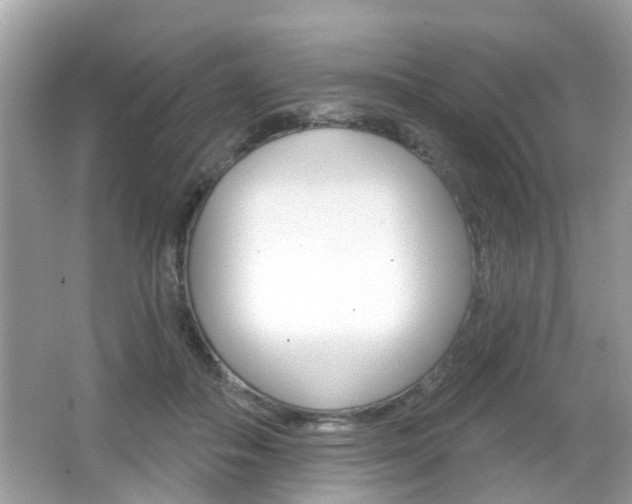 X0000066530506200603171033