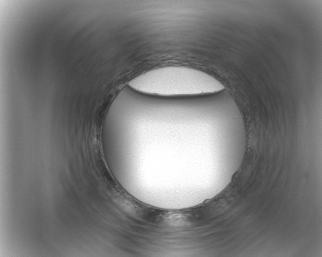 X0000066530518200603171032
