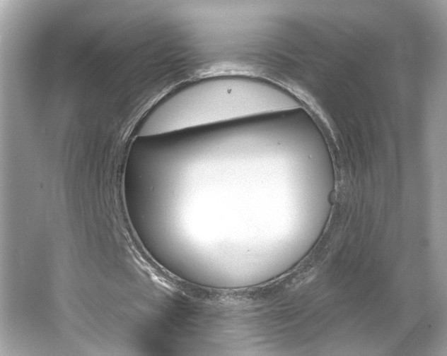 X0000066530529200603171032