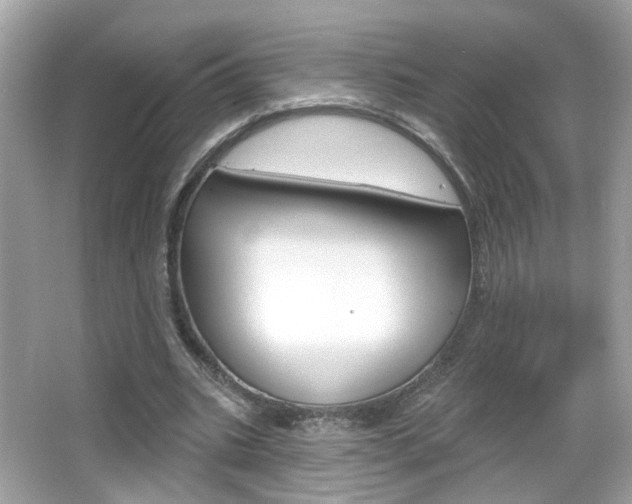 X0000066530535200603171032