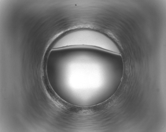 X0000066530536200603171032