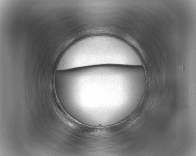 X0000066530537200603171032