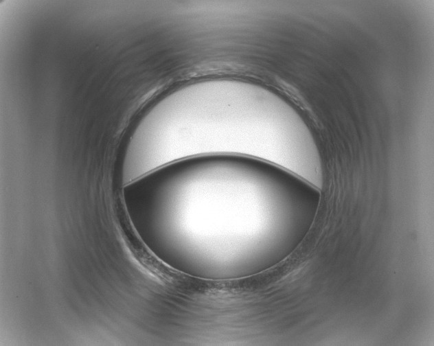 X0000066530538200603171032