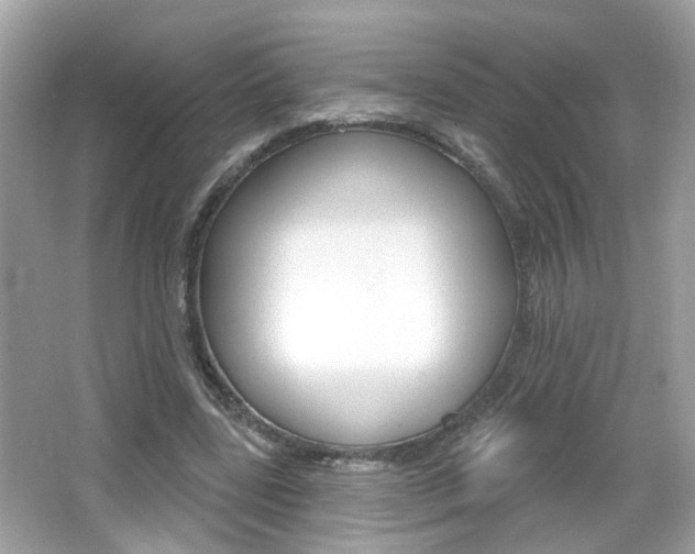 X0000066530539200603171032