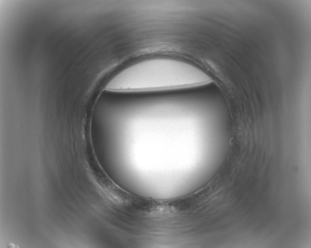X0000066530543200603171032