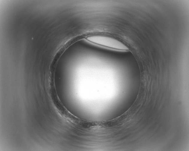 X0000066530544200603171032