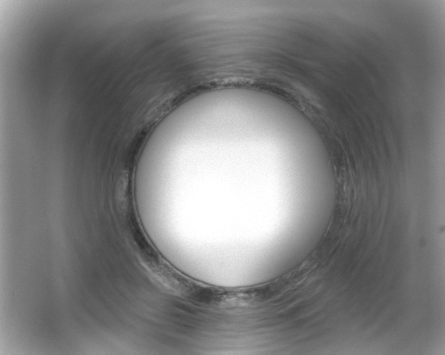 X0000066530550200603171032