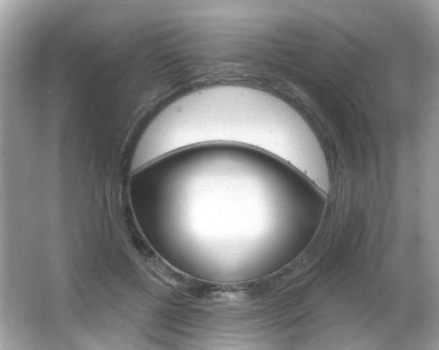 X0000066530552200603171032