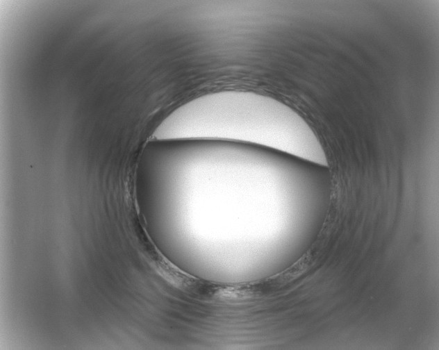 X0000066530568200603171032