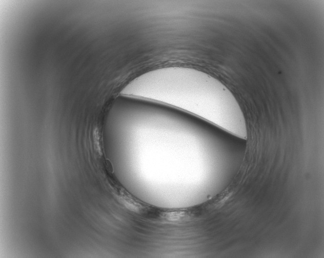 X0000066530575200603171032