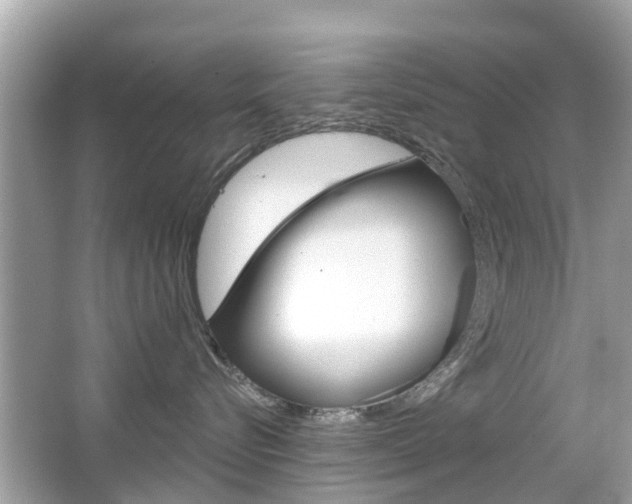 X0000066530576200603171032