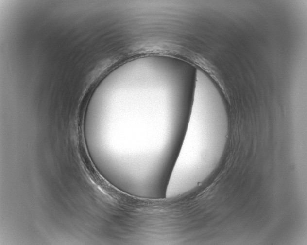 X0000066530578200603171031