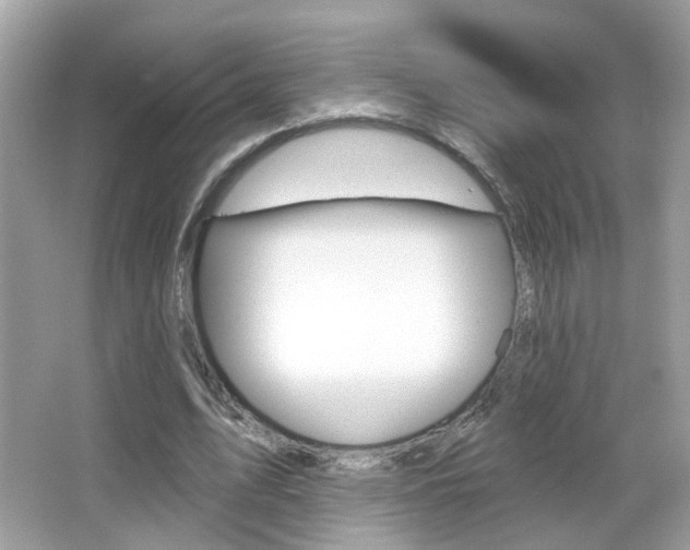 X0000066530583200603171031