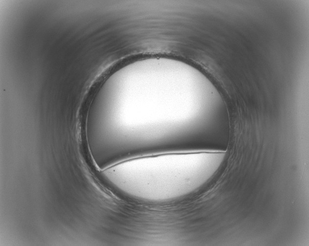X0000066530584200603171031