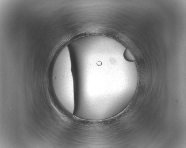 X0000066530586200603171031