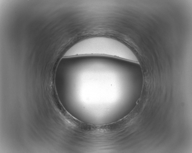 X0000066530593200603171031