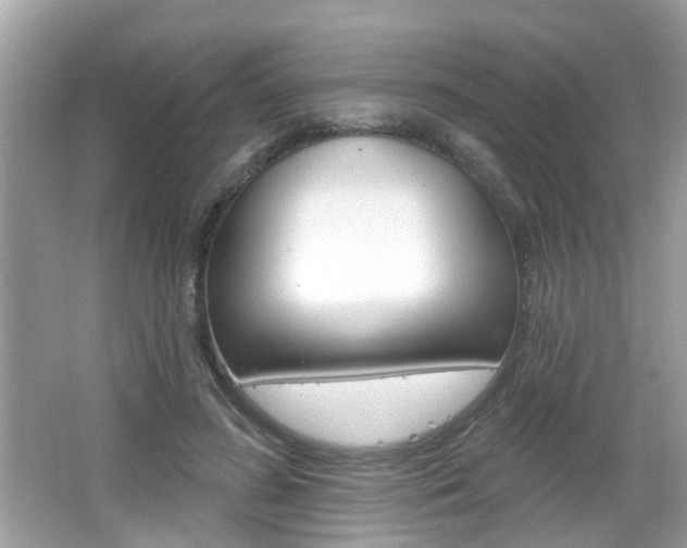 X0000066530596200603171031