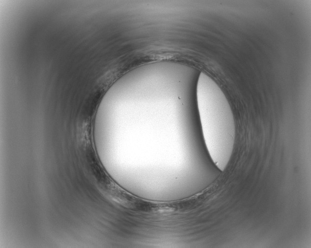 X0000066530598200603171031