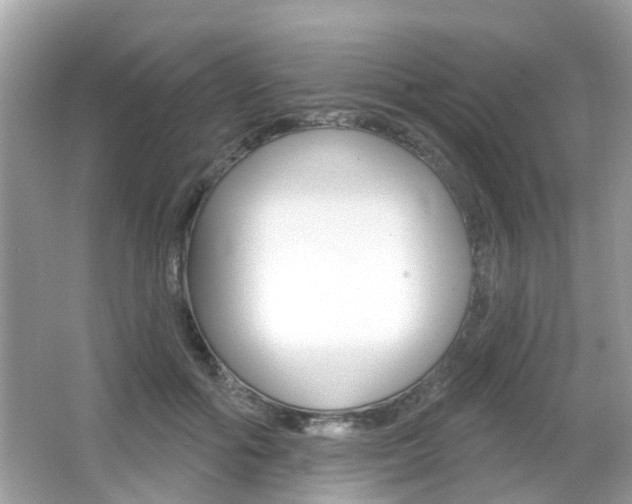 X0000066530602200603171031