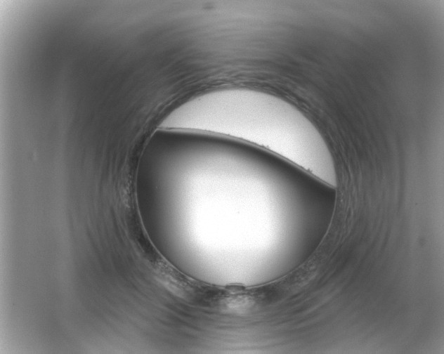 X0000066530604200603171031