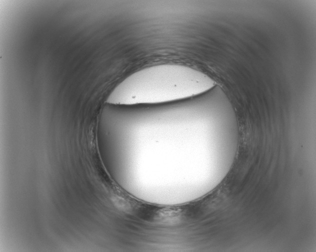 X0000066530606200603171031