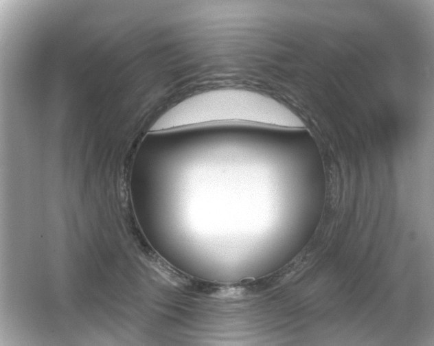 X0000066530609200603171031