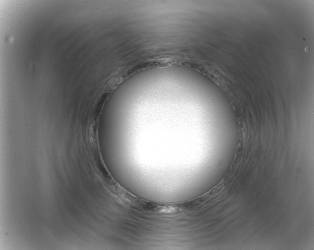 X0000066530611200603171031