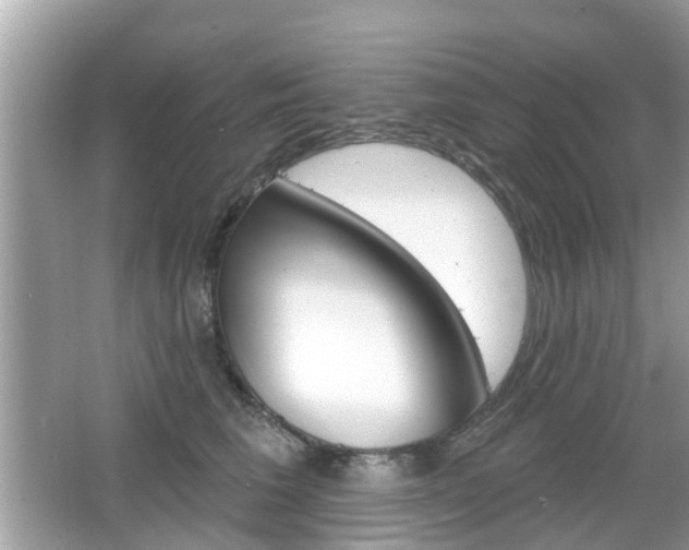 X0000066530613200603171031