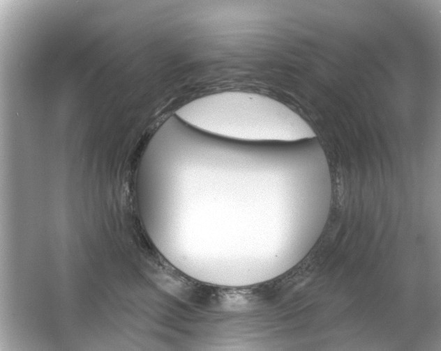 X0000066530618200603171031