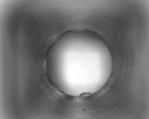 X0000066530624200603171031