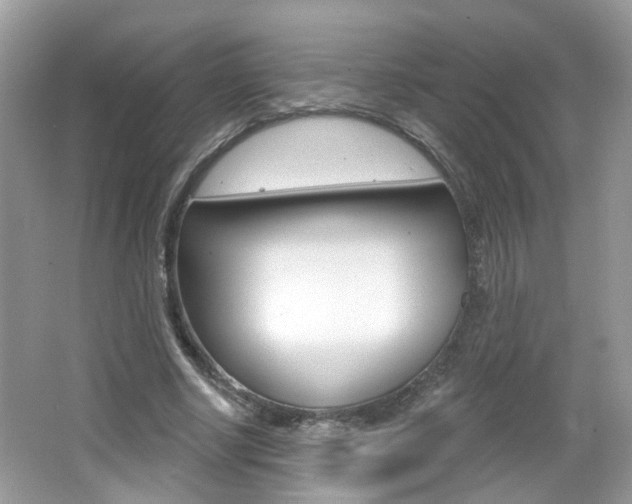 X0000066530634200603171030