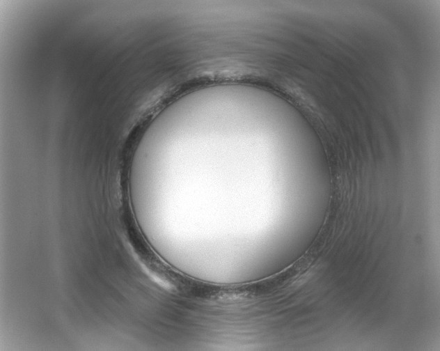 X0000066530638200603171030