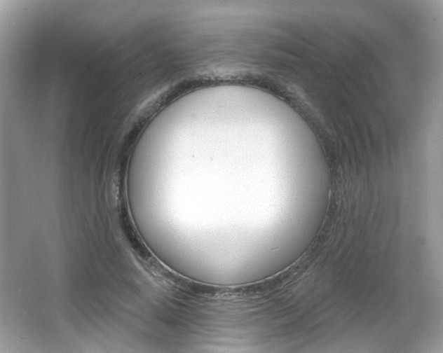 X0000066530640200603171030
