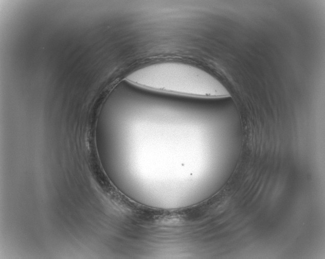 X0000066530643200603171030