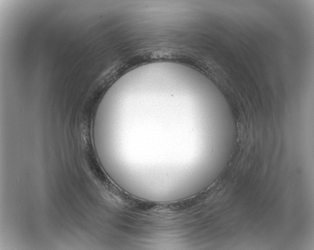 X0000066530648200603171030