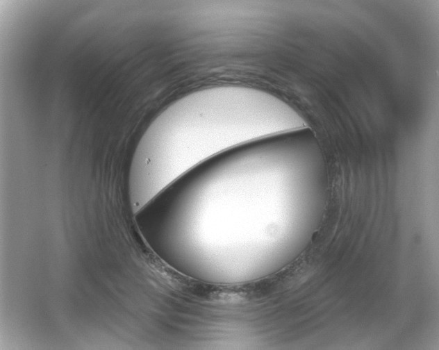 X0000066530649200603171030