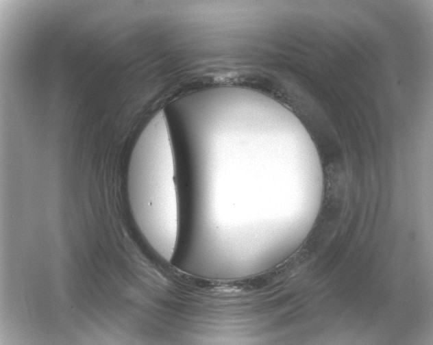 X0000066530650200603171030