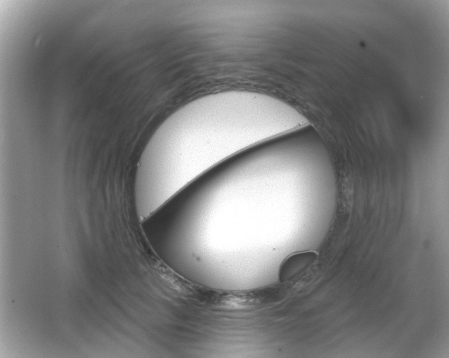 X0000066530657200603171030