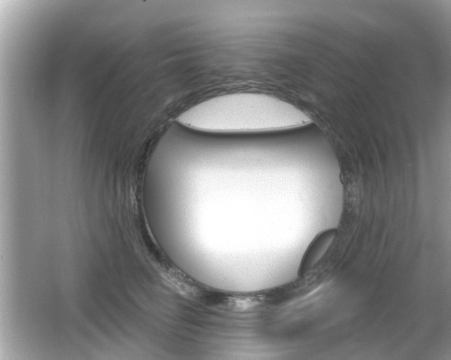 X0000066530662200603171030