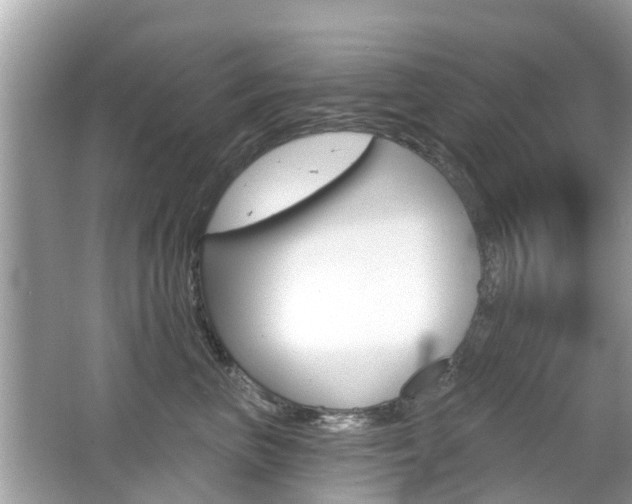X0000066530667200603171031