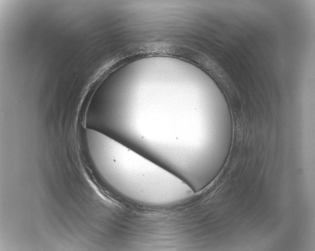 X0000066530674200603171030
